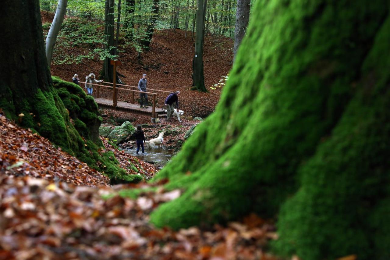 Le Milan Royal Villa Malmedy Dış mekan fotoğraf
